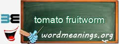 WordMeaning blackboard for tomato fruitworm